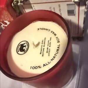 Michel Design Works Red Soy Wax Candle